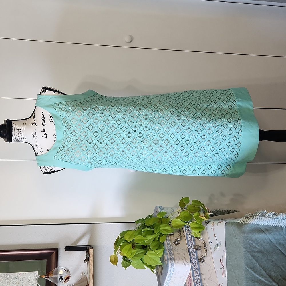 Elizabeth J Sleeveless Lace Shift Dress Sz 14